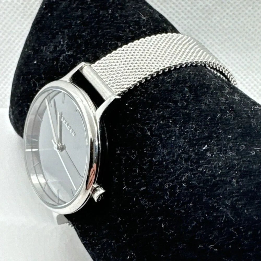 Skagen Anita SKW2410 Women Silver Stainless Steel Mesh Analog Dial Watch JNA575